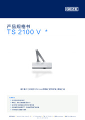 TS 2100 V  * 产品规格书 ZH