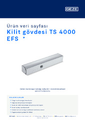 Kilit gövdesi TS 4000 EFS  * Ürün veri sayfası TR