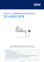 TS 4000 EFS Fișa cu datele produsului RO