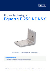 Équerre E 250 NT NSK Fiche technique FR