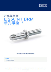 E 250 NT DRM 带孔螺栓  * 产品规格书 ZH