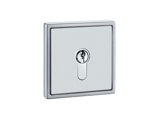 Entrada del producto (46433)