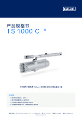 TS 1000 C  * 产品规格书 ZH